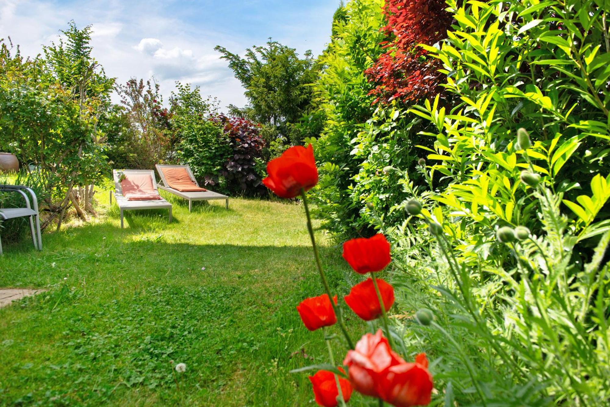 Ferienwohnungen Im Rosengarten Bodman-Ludwigshafen Exterior foto